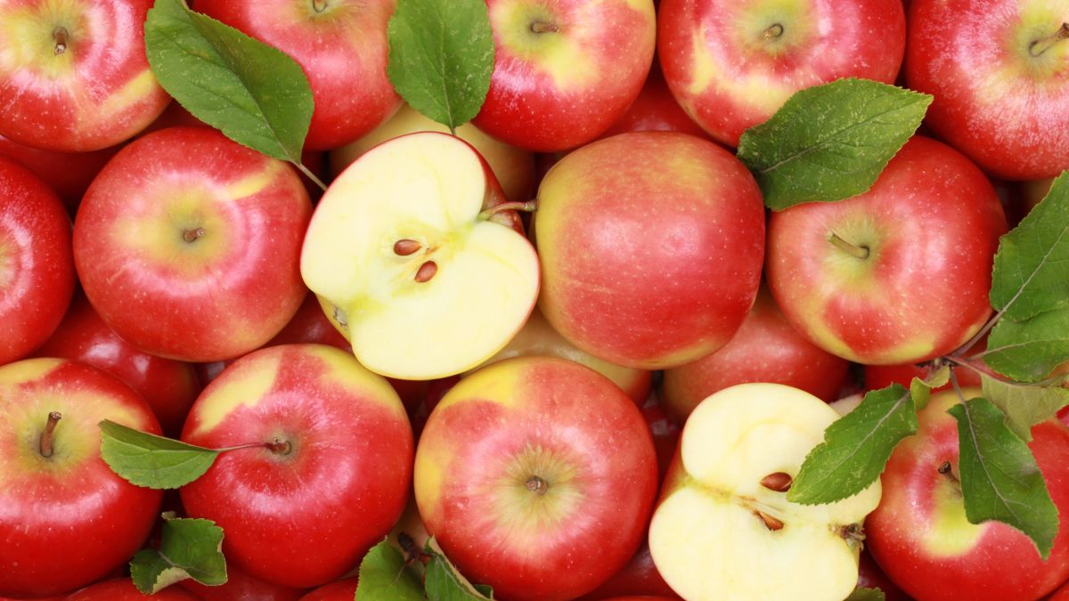 فوائد التفاح