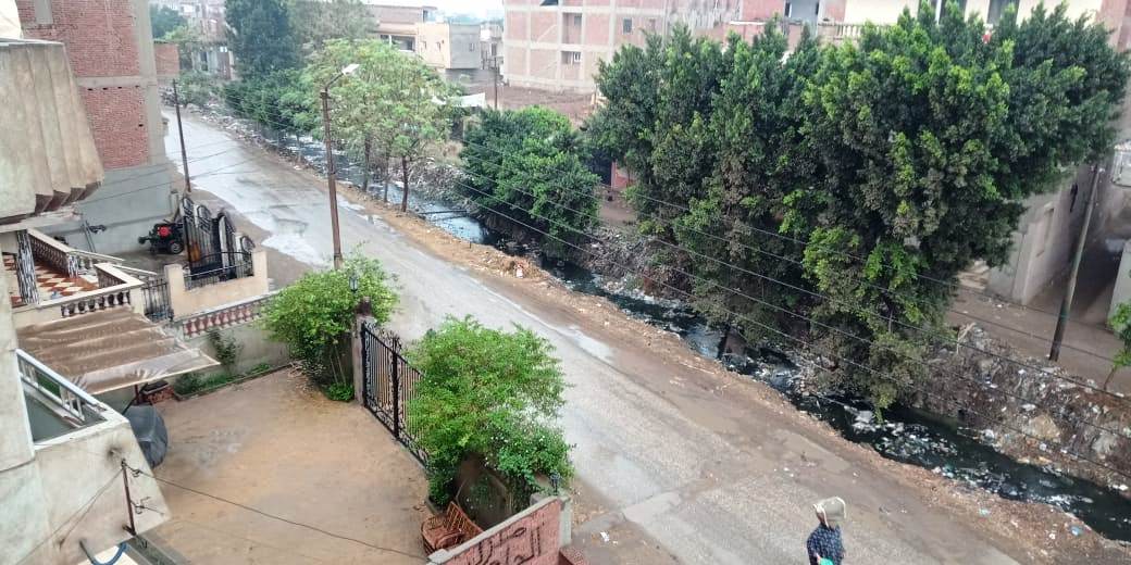 أمطار رعدية تضرب مدن القليوبية وقطع الكهرباء ببعض المناطق (4)