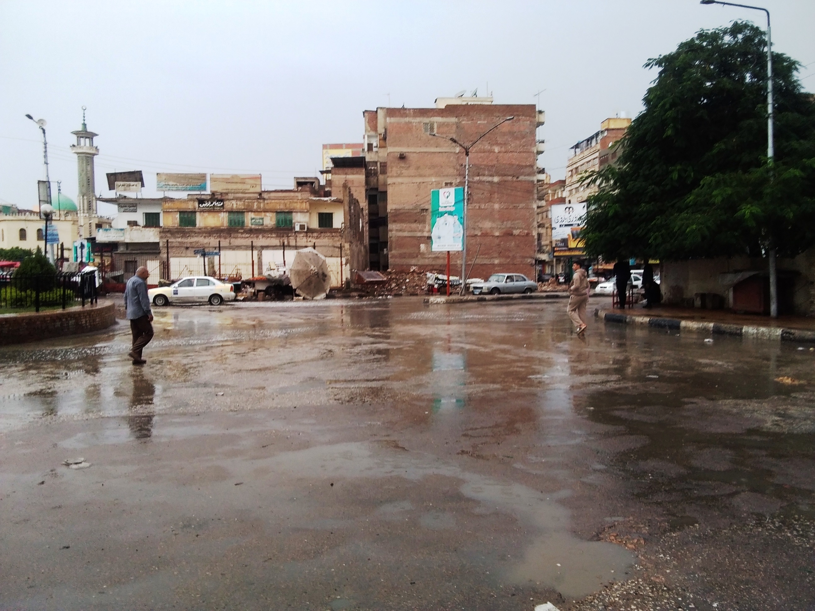 صور.. هطول أمطار رعدية بكفر الشيخ.. والمحافظ يعلن حالة الطوارئ (1)