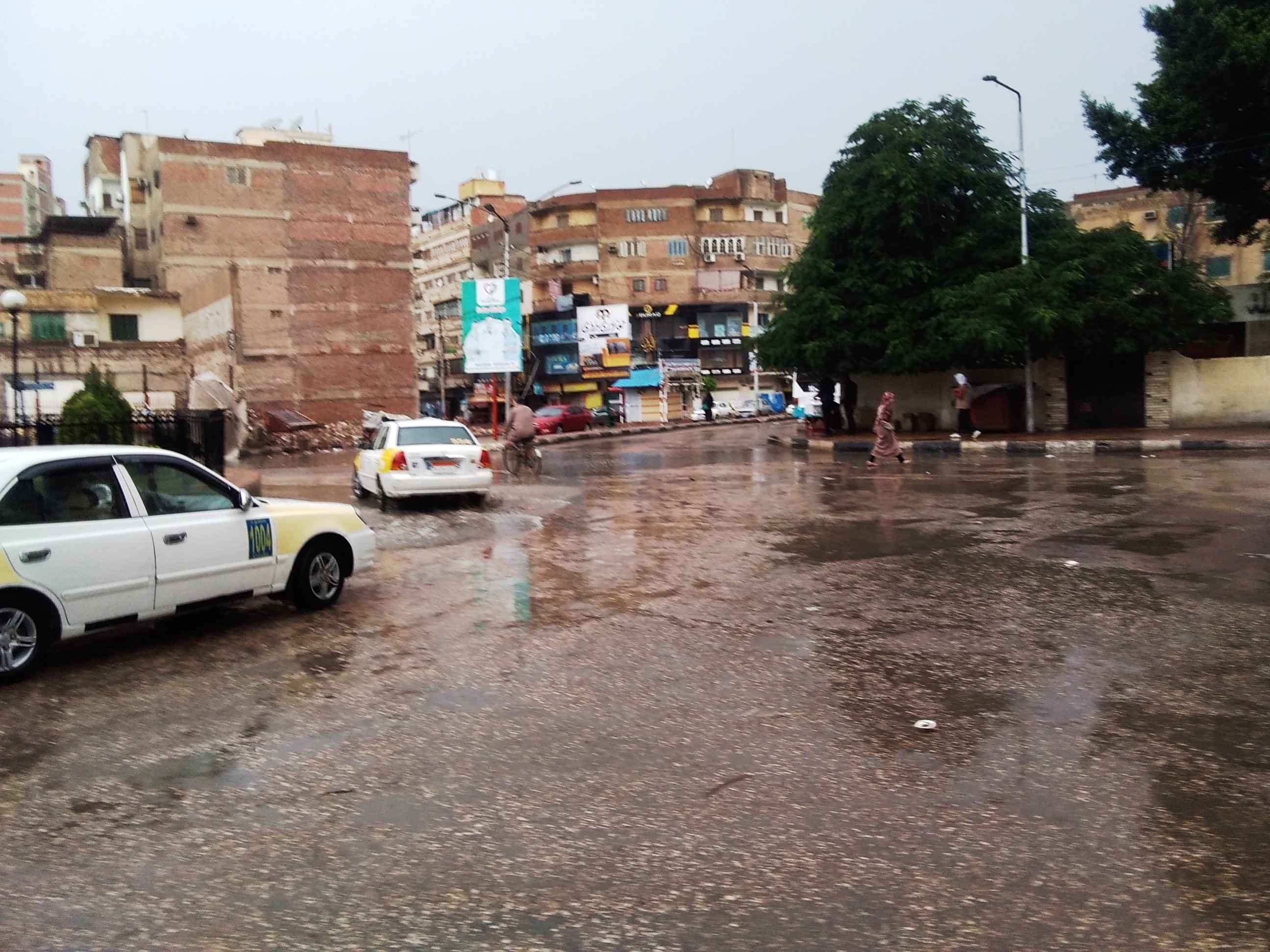 صور.. هطول أمطار رعدية بكفر الشيخ.. والمحافظ يعلن حالة الطوارئ (3)