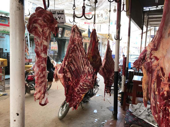 الجزارين-يقررون-خفض-أسعار-اللحوم-فى-الغربية-(9)