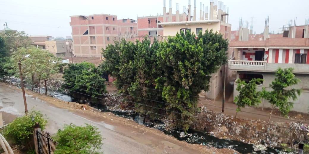أمطار رعدية تضرب مدن القليوبية وقطع الكهرباء ببعض المناطق (1)