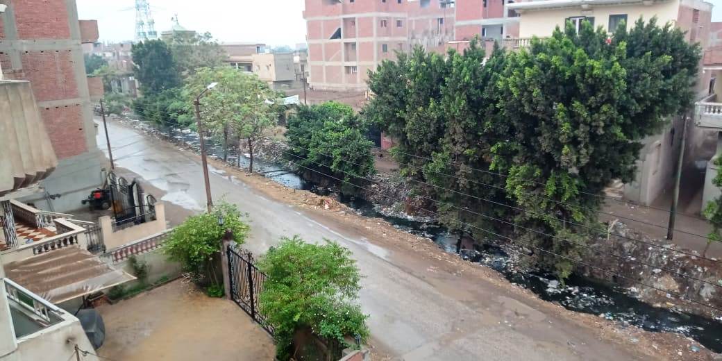 أمطار رعدية تضرب مدن القليوبية وقطع الكهرباء ببعض المناطق (3)