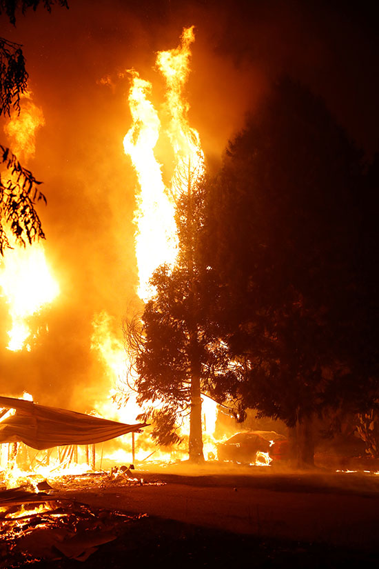 النيران تلتهم شجرة فى كاليفورنيا