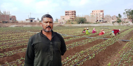 هشام-الصياد-احد-مزارعي-الفراولة-بالقليوبية