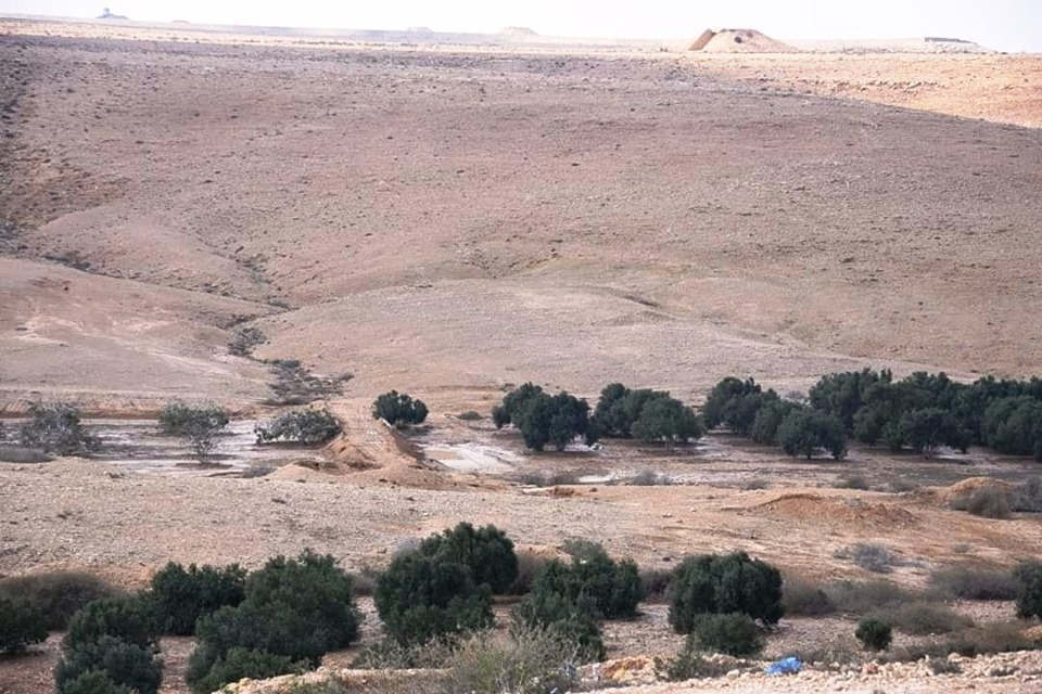 أمطار الخير على محافظة مطروح تملأ الآبار وتروي زراعات الوديان  (3)