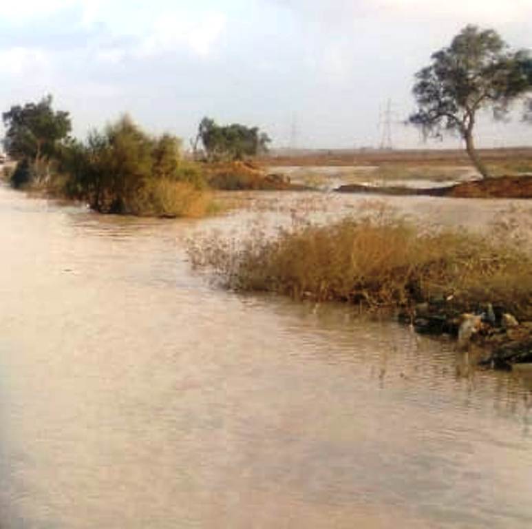 أمطار الخير على محافظة مطروح تملأ الآبار وتروي زراعات الوديان  (4)