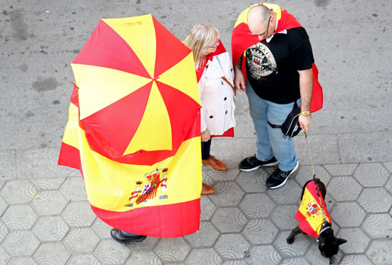 كلب يرتدى علم أسبانيا فى مظاهرات الوحدة