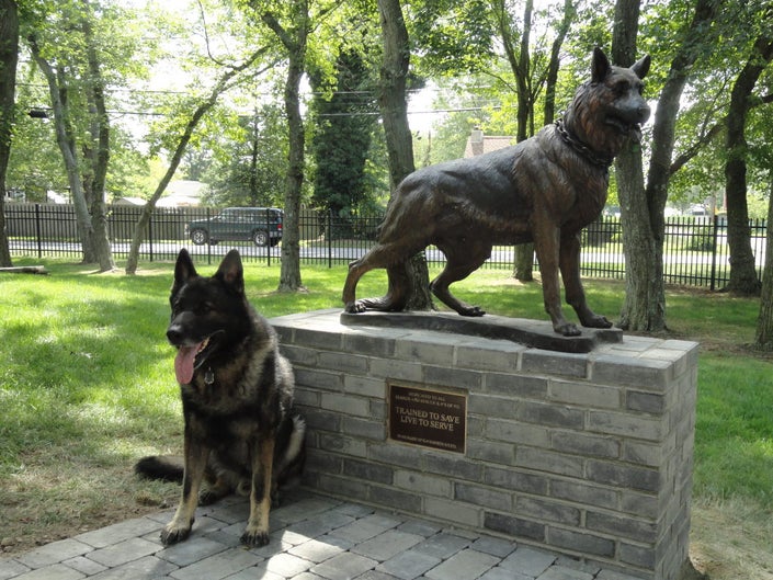 تمثال الكلب ابولو