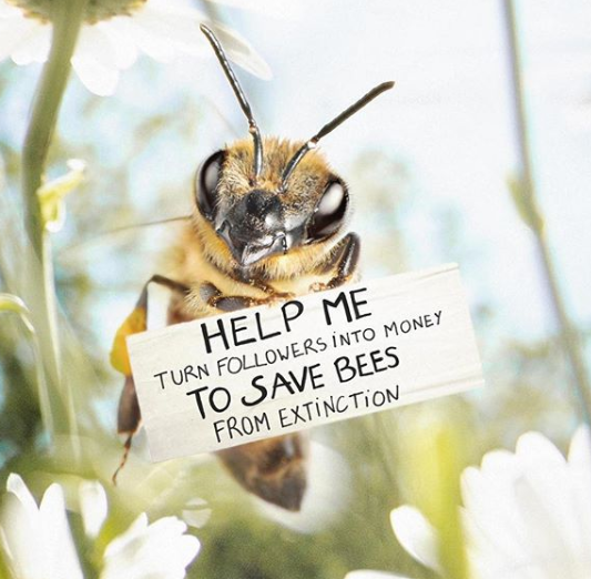 حملة لإنقاذ النحل