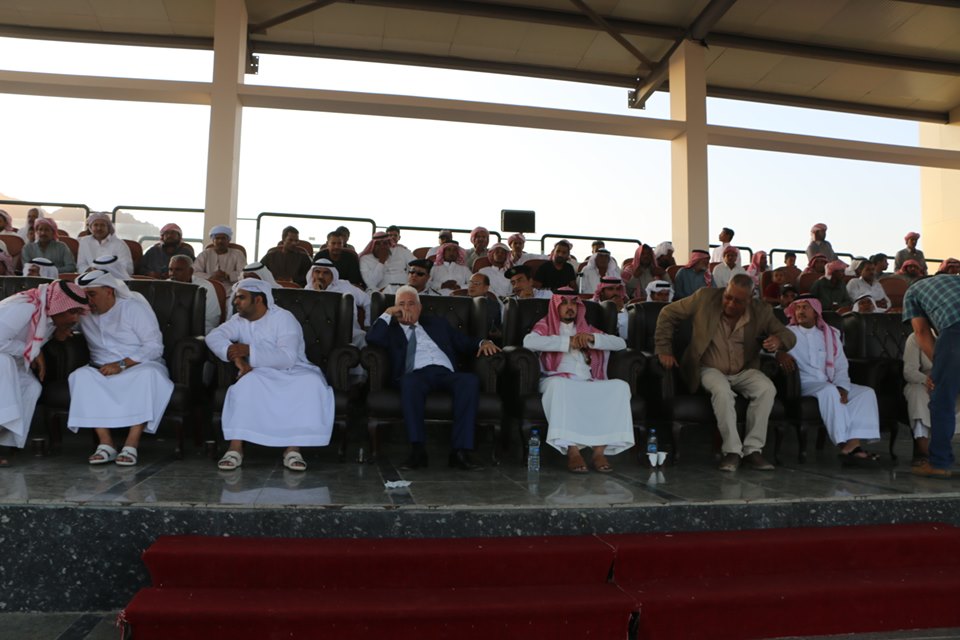 انطلاق فعاليات مهرجان شرم الشيخ الأول للهجن  (5)