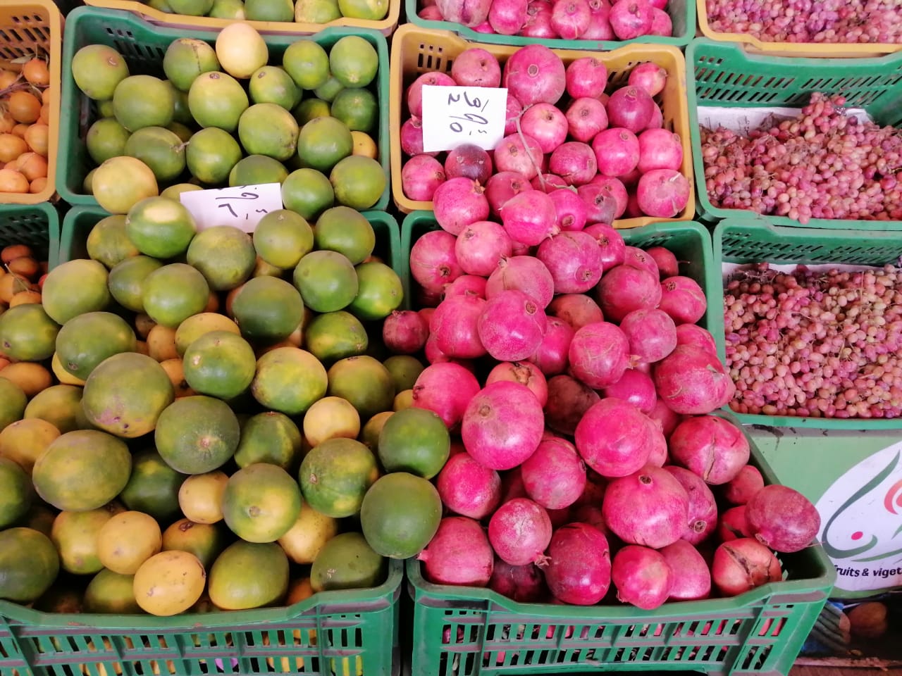 الفاكهة والخضر بسوق الغربية (9)