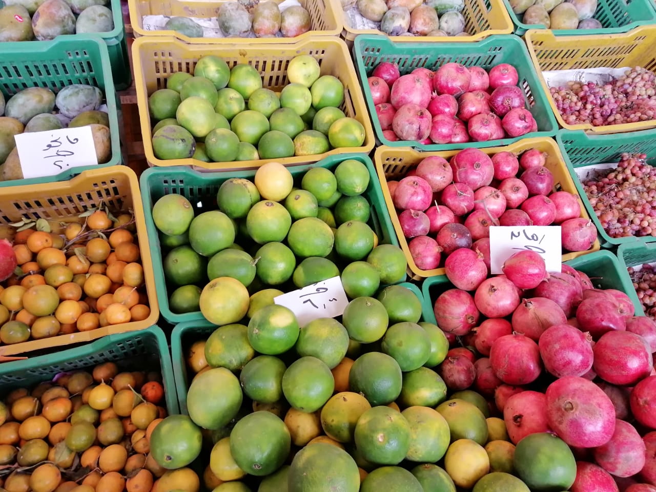 الفاكهة والخضر بسوق الغربية (2)