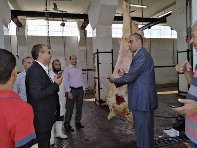 إعدام رأسي ماشية غير صالحة للاستهلاك قبل تداولها بالأسواق بمركز أبوقرقاص بالمنيا (1)