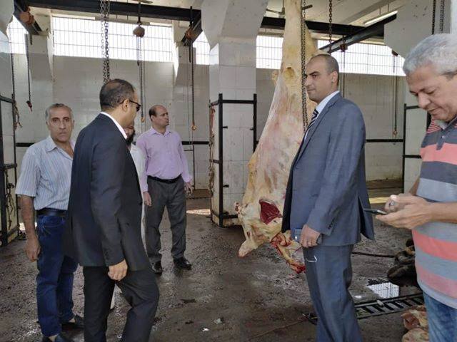 إعدام رأسي ماشية غير صالحة للاستهلاك قبل تداولها بالأسواق بمركز أبوقرقاص بالمنيا (2)
