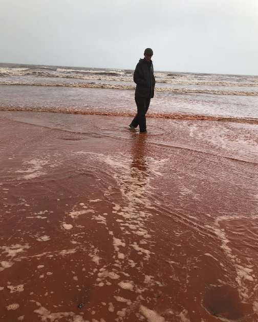 لون مياه البحر أحمر
