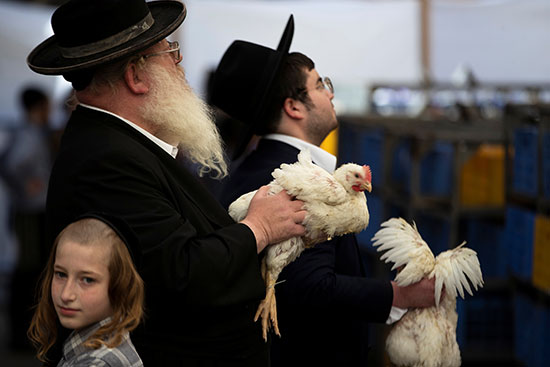 رجال يهوديون أرثوذكسيون يحملون دجاجات بيضاء أثناء استعدادهم لأداء طقوس كاباروت