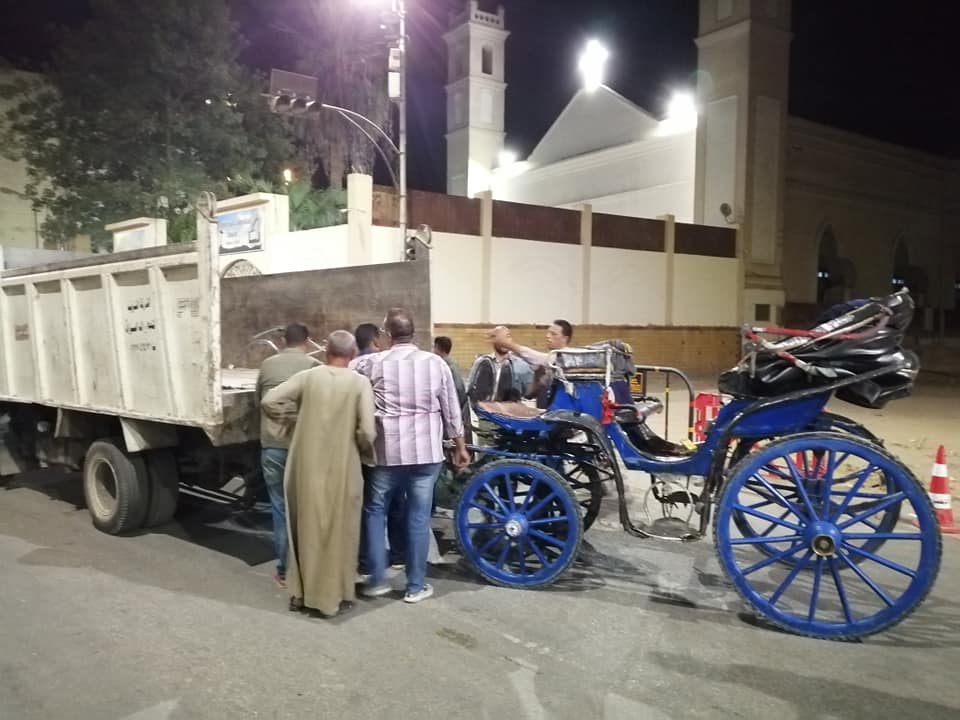  ضبط عربات حنطور مخالفة بشوارع مدينة الاقصر (2)