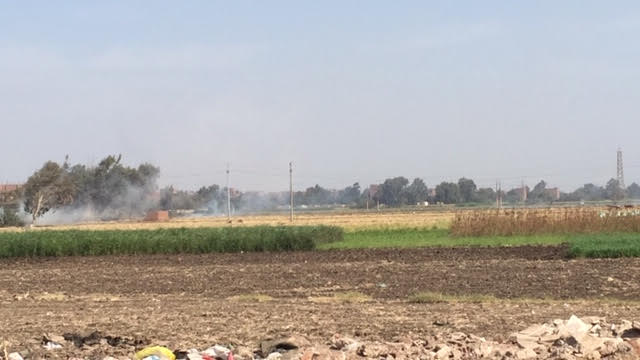3- مزارع يحرق قش الأرز فى أرضه