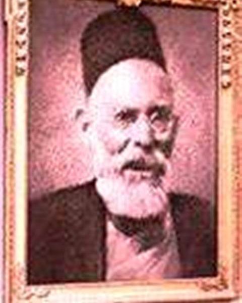 محمود باشا سليمان