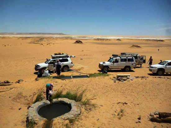 عين-السرو-السحرية-بالفرافرة عين-السرو-السحرية-بالفرافرة