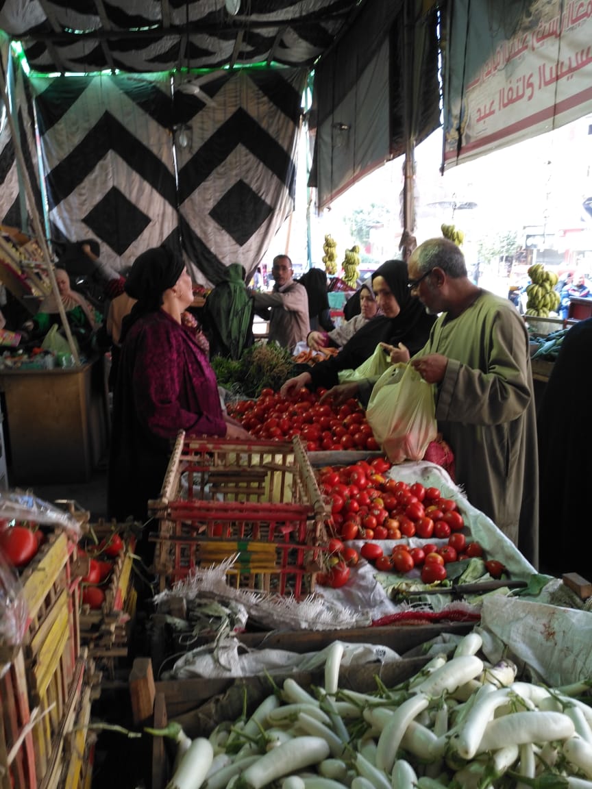 انتعاش بأسواق الخضر والفاكهة بالغربية ورقابة تموينية على الأسعار (3)