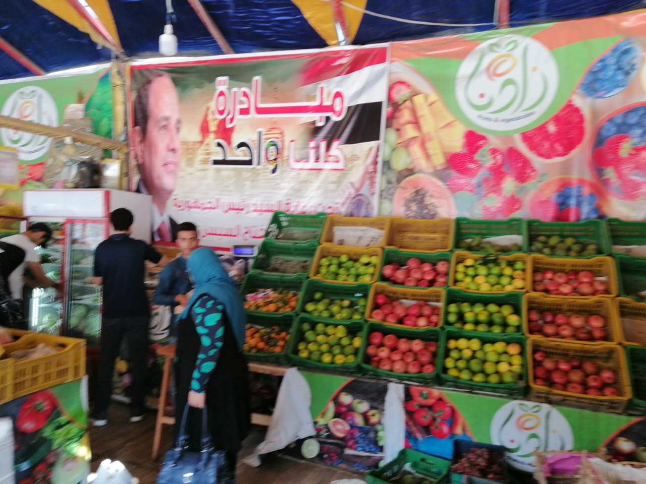 سوق الخضر والفاكهة بالغربية (5)