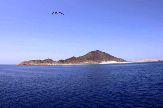 جزيرة شدوان الطبيعة (1)