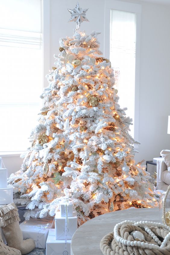 شجرة عيد الميلاد مع الأضواء والصنوبر