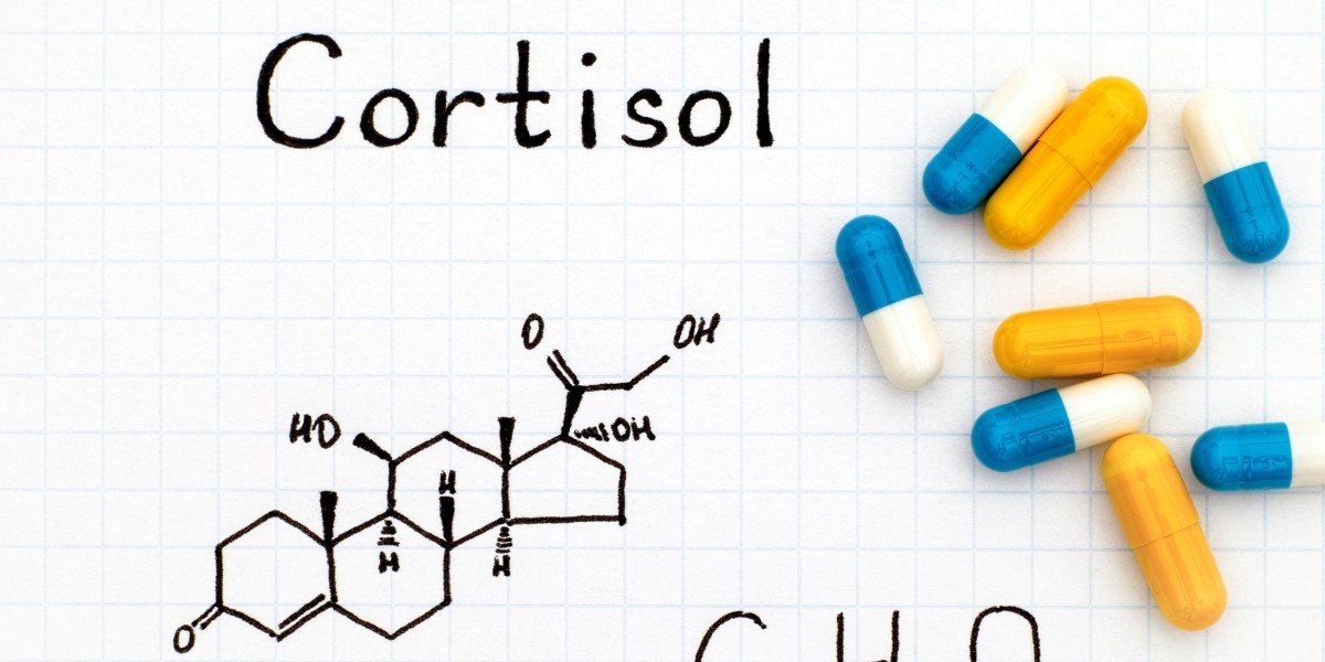 updated-hormone-101-cortisol-5c76e748b9212
