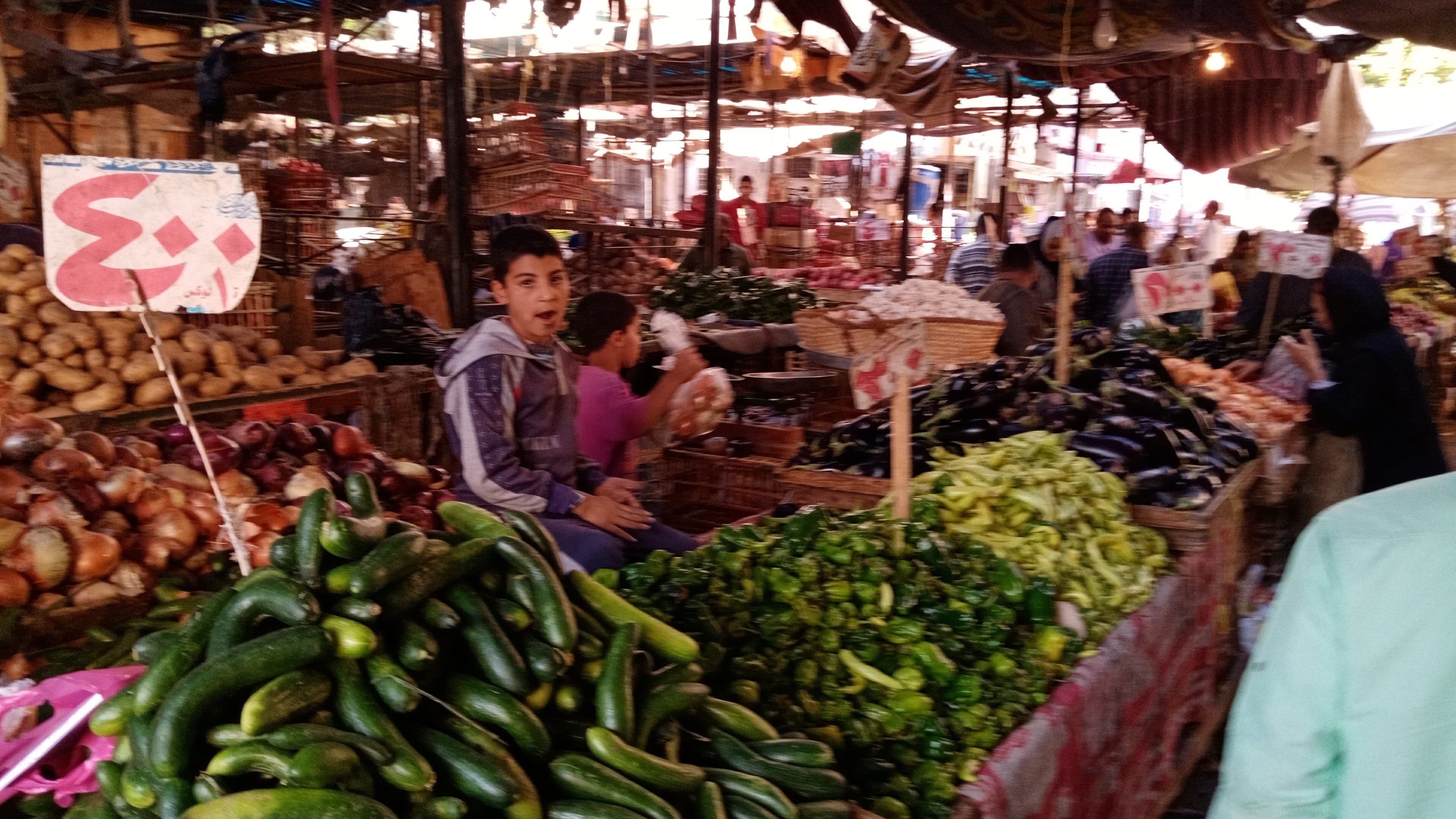 أنحفاض اسعار الخضروات واللحوم بمحافظة سوهاج  (9)
