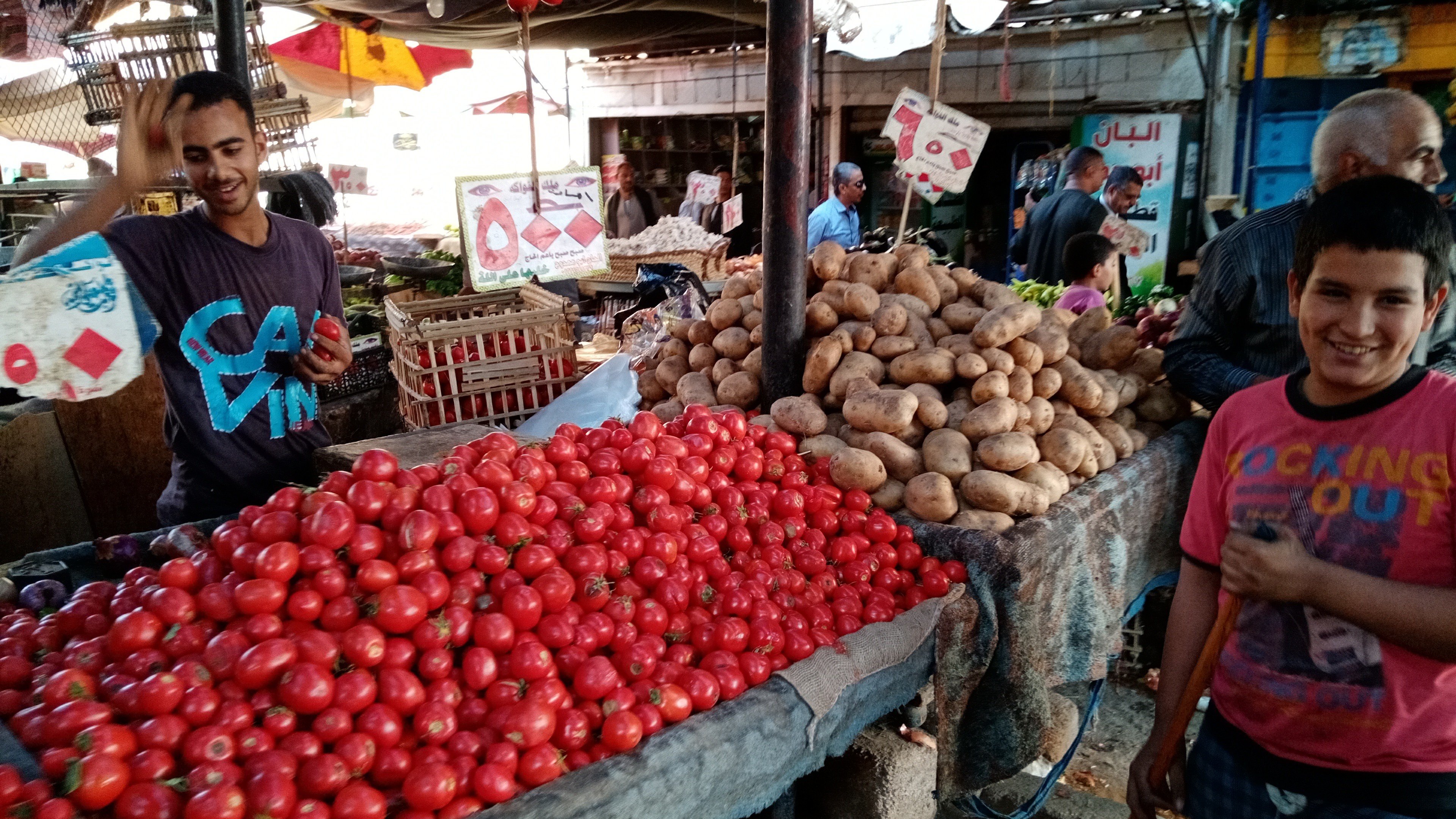 أنحفاض اسعار الخضروات واللحوم بمحافظة سوهاج  (12)