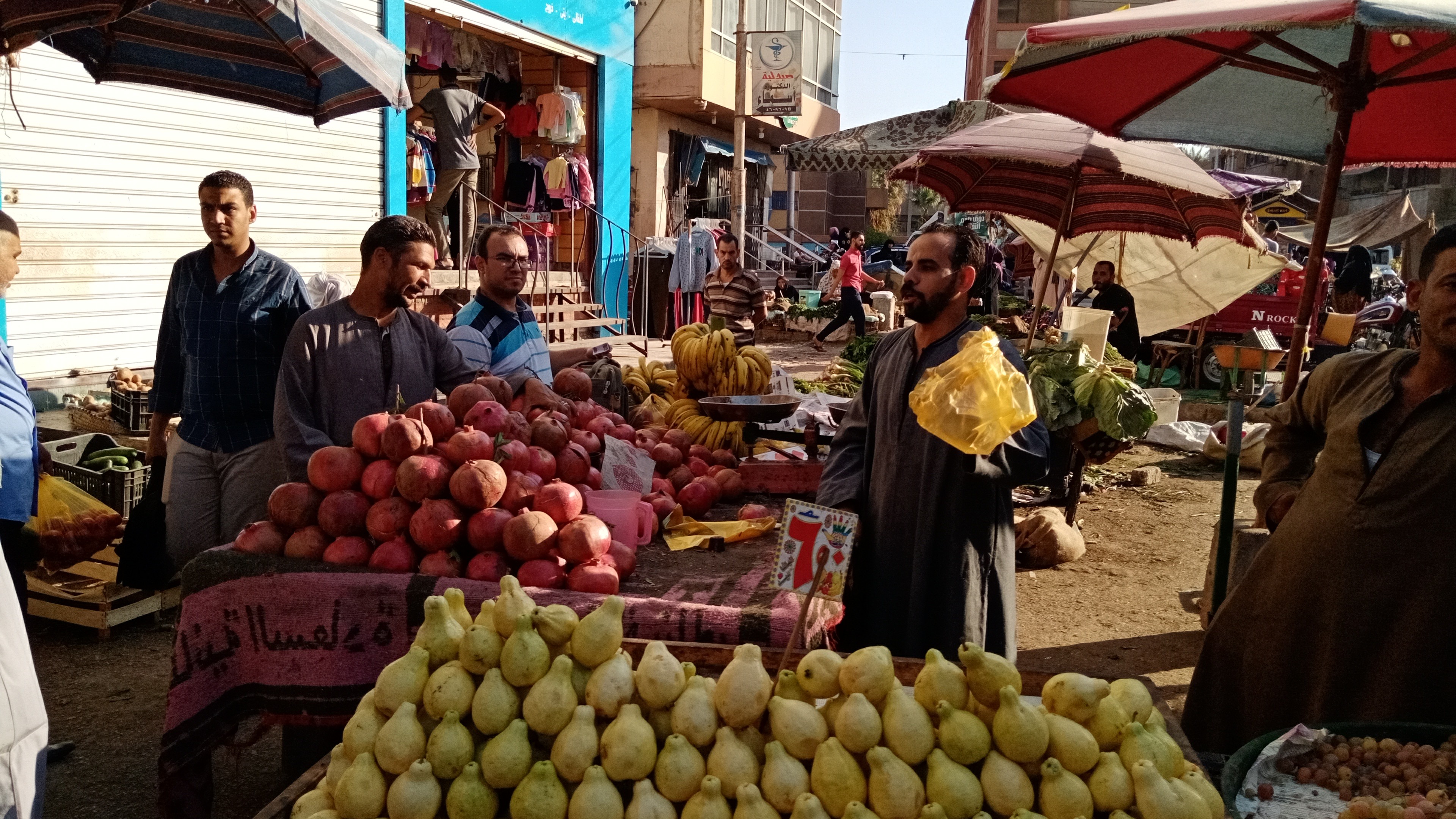 أنحفاض اسعار الخضروات واللحوم بمحافظة سوهاج  (2)