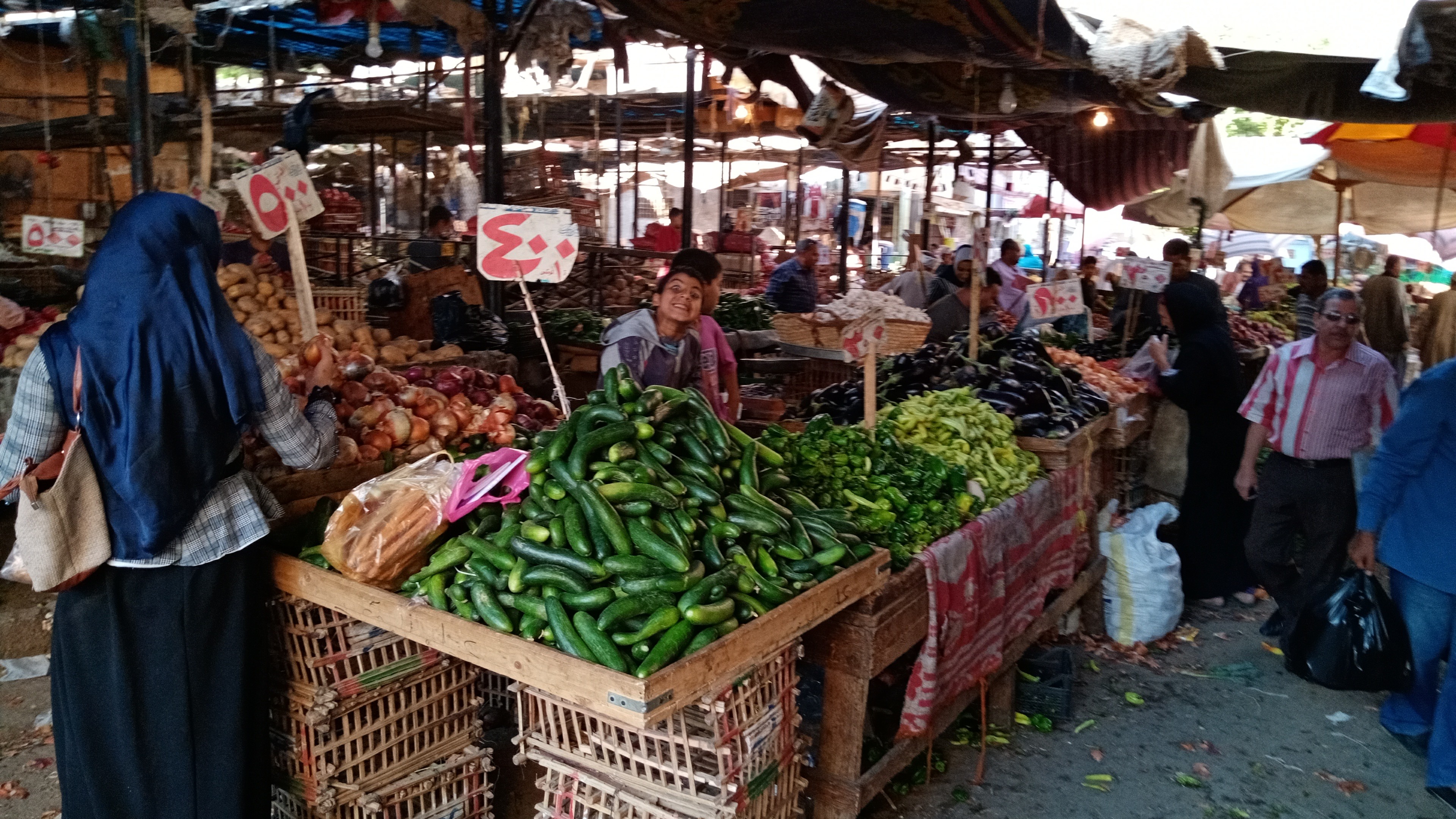 أنحفاض اسعار الخضروات واللحوم بمحافظة سوهاج  (7)