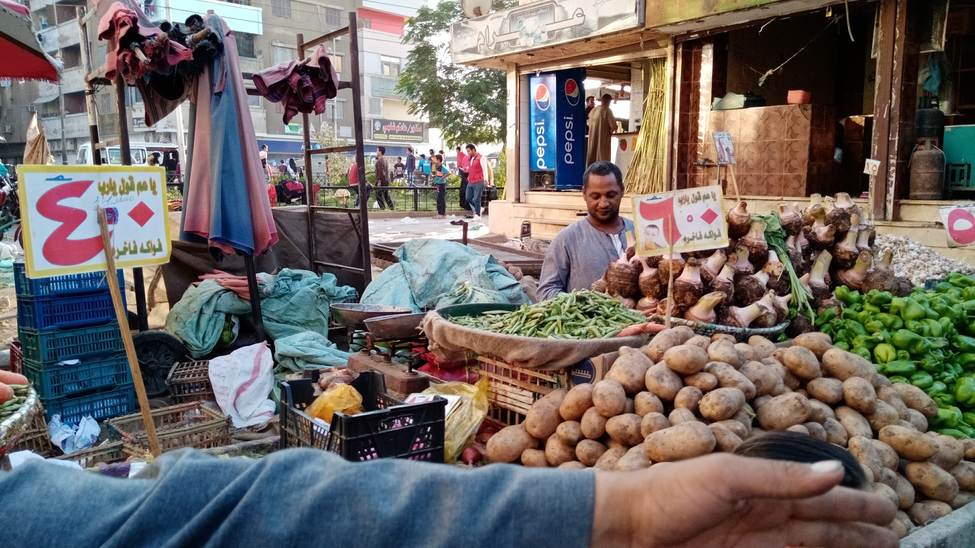 أنحفاض اسعار الخضروات واللحوم بمحافظة سوهاج  (18)