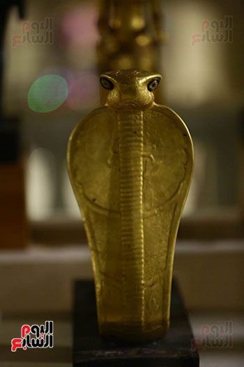 المتحف المصر بالتحرير (28)