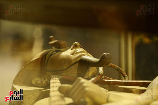 المتحف المصر بالتحرير (38)