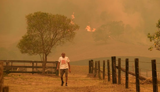 حرائق الغابات فى أستراليا