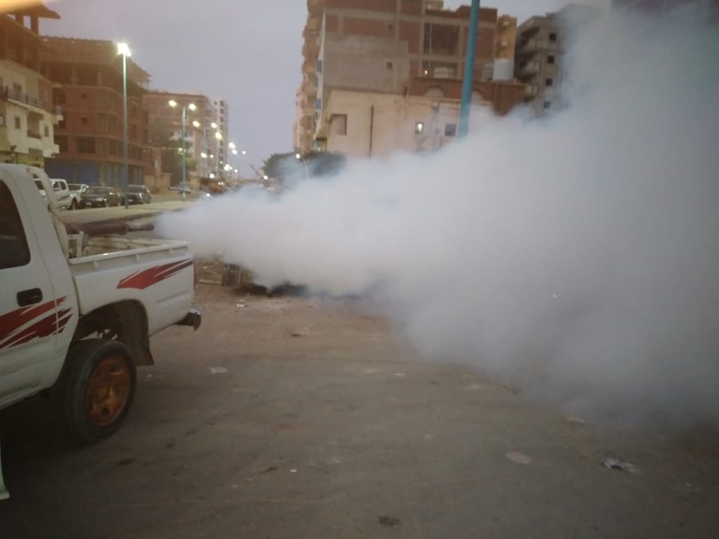 محافظة مطروح تعلن الحرب للقضاء علي الذباب والحشرات الطائرة  (3)