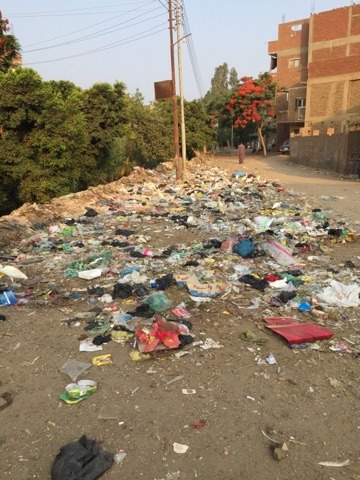 انتشار القمامة قربه شنشور مركز أشمون
