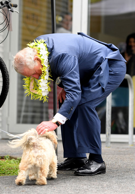 الأمير البريطاني تشارلز يداعب كلب صغير