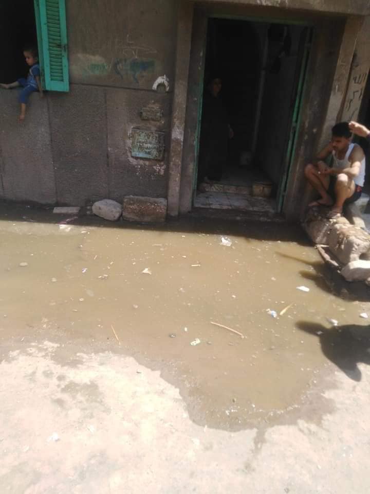 غرق قرية منيل شيحة فى المياه الجوفية  (7)