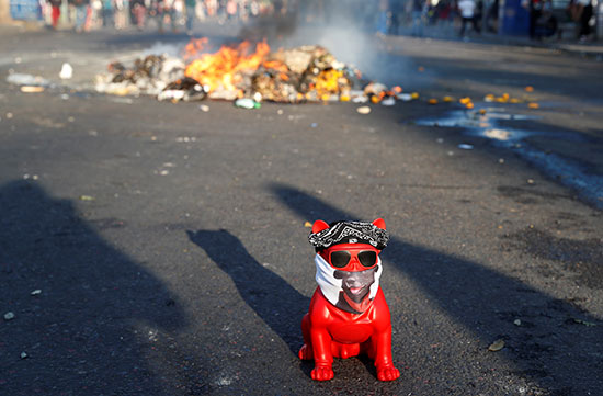 مجسم كلب خلال احتجاجات تشيلى