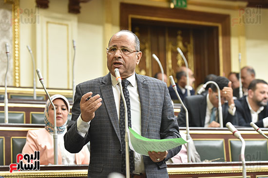 جلسة مجلس النواب برئاسة الدكتور على عبد العال (23)