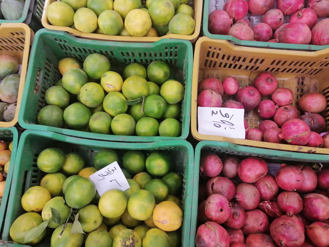 أسعار الخضر والفواكهة فى الأسواق (7)