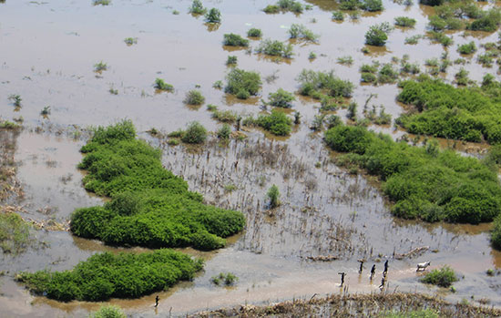 مياه الفيضان تغرق الأراضى الزراعية