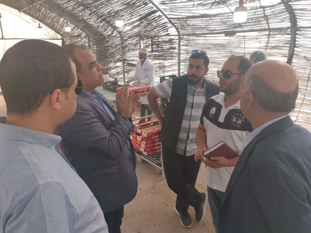 زيارة الوفد السعودى لمزارع الخضر والفاكهة المصرية  (1)