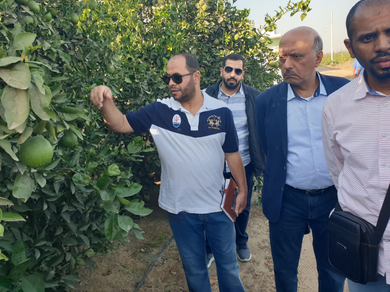 زيارة الوفد السعودى لمزارع الخضر والفاكهة المصرية  (5)