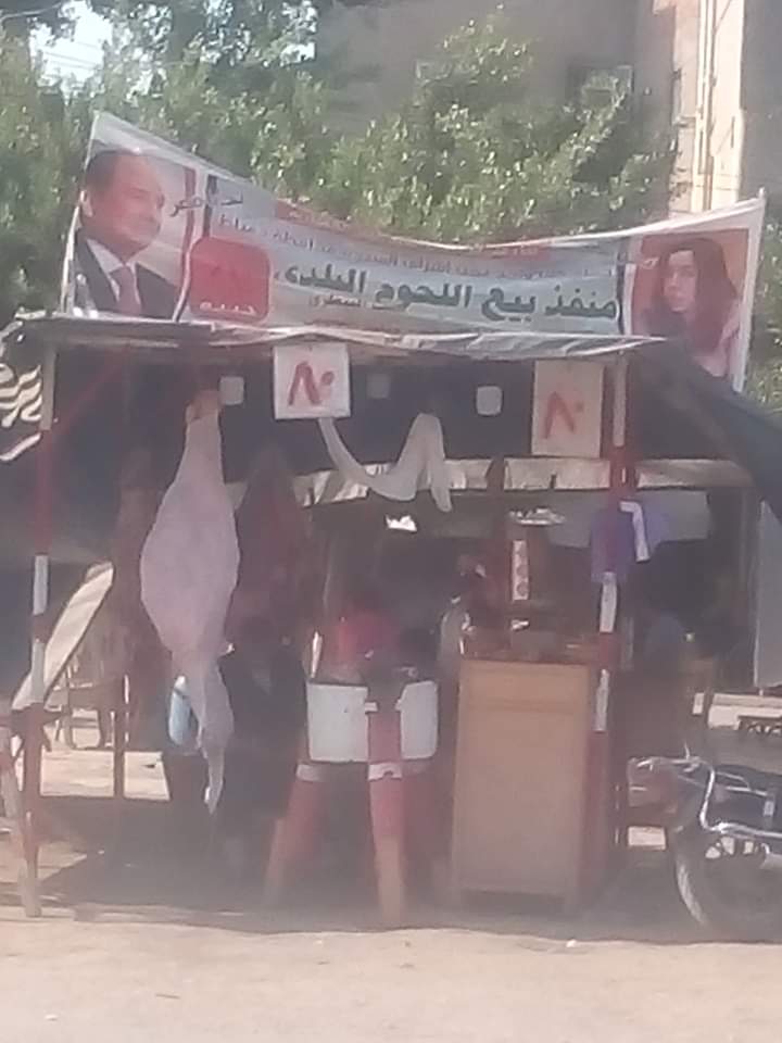 شوادر بيع اللحوم بدمياط (1)