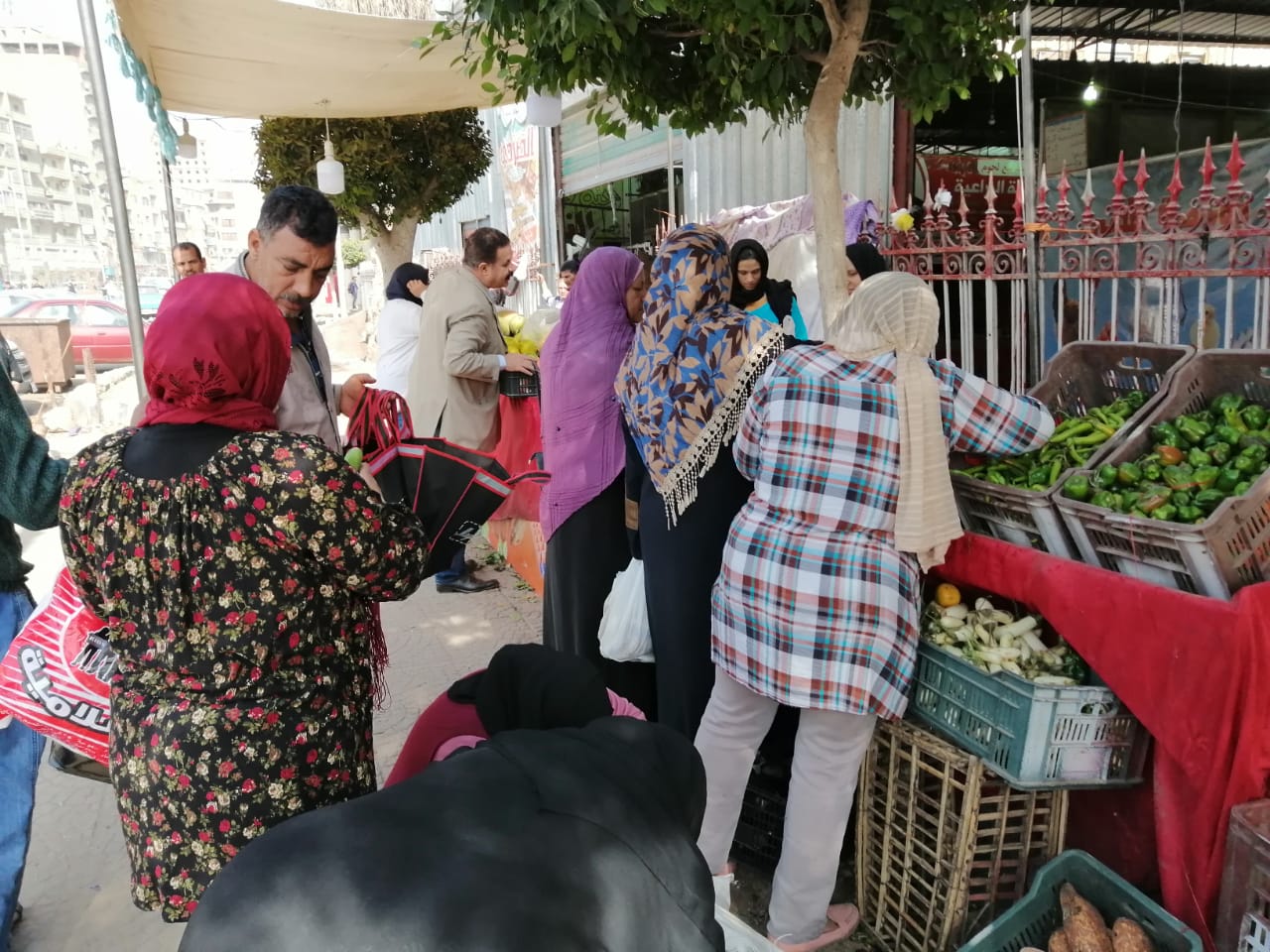 أسواق محافظة الغربية (4)